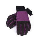 Winter Touchscreen Waterproof Ski Gloves