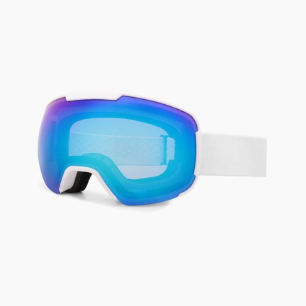 Polarized magnetic ski goggles