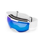Polarized magnetic ski goggles