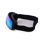 Photochromic polarized ski goggles